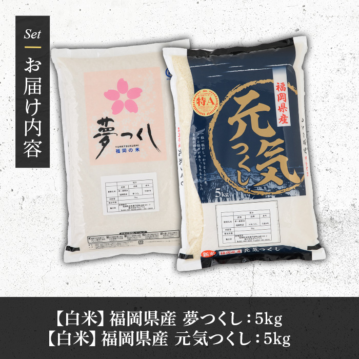 《白米》福岡県産米食べ比べセット「夢つくし」と「元気つくし」(2種計10kg・各5kg×1袋) 白米 米 お米 おこめ ごはん ご飯 常温 福岡県産 ブランド米 ゆめつくし げんきつくし 常温 常温保存 おにぎり おむすび お弁当 ライス【朝ごはん本舗】as05-083