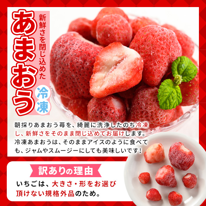 ＜訳アリ＞辛子明太子 小切(1kg・100g×10P)&冷凍あまおう(800g)セット めんたいこ 切子 切れ子 いちご 苺 イチゴ 福岡【MEAT PLUS】as08-024