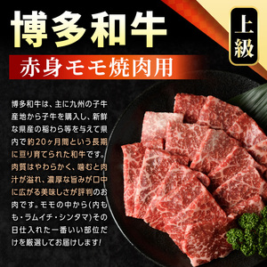【A4～A5】博多和牛赤身モモ焼肉用(500g) モモ肉 国産 九州産 福岡県産 牛肉 和牛 黒毛和牛 焼き肉 焼肉 バーベキュー BBQ 【MEAT PLUS】as08-037