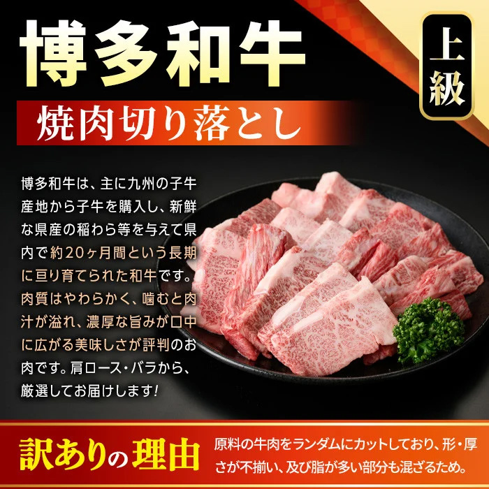 ＜訳あり＞【A4～A5】博多和牛焼肉切り落とし(肩ロース・バラ) (合計1kg・500g×2P) 国産 九州産 福岡県産 牛肉 和牛 黒毛和牛 ヤキニク やきにく 焼き肉 お肉【MEAT PLUS】as08-043