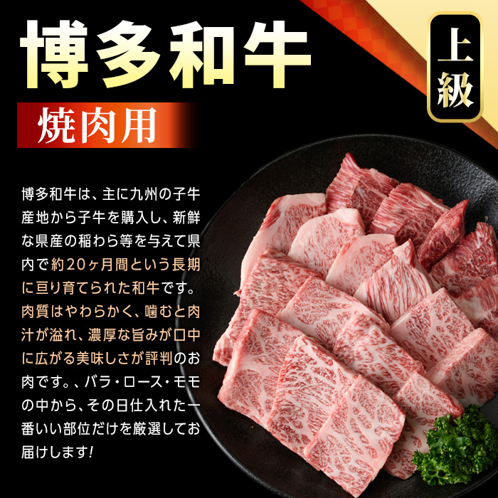 【A4～A5】博多和牛焼肉用(計1kg・500g×2P) 国産 九州産 福岡県産 牛肉 和牛 黒毛和牛 やきにく お肉【MEAT PLUS】as08-057