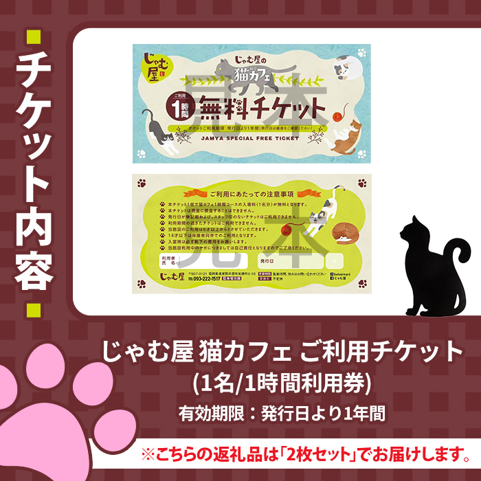 猫まみれになれる猫カフェチケット(2枚) チケット 猫 カフェ 体験 ネコ ねこ 保護猫 動物 カフェ利用チケット 保護猫カフェ 利用券 利用優待券 触れ合い ふれあい 体験型 動物カフェ 癒し 写真撮影 猫好き 【じゃむ屋】as15-004