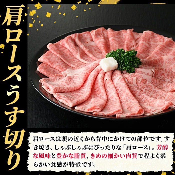 ≪毎月定期便・全10回≫A5等級 博多和牛肩ロースうす切り(総計10kg・500g×2P×10回) 牛肉 肉 国産 和牛 博多和牛 肩ロース カタロース うす切り スライス すき焼き すき焼 しゃぶしゃぶ 薄切り黒毛和牛 コンシェルジュ 冷凍 定期便 頒布会【久田精肉店】 as23-049