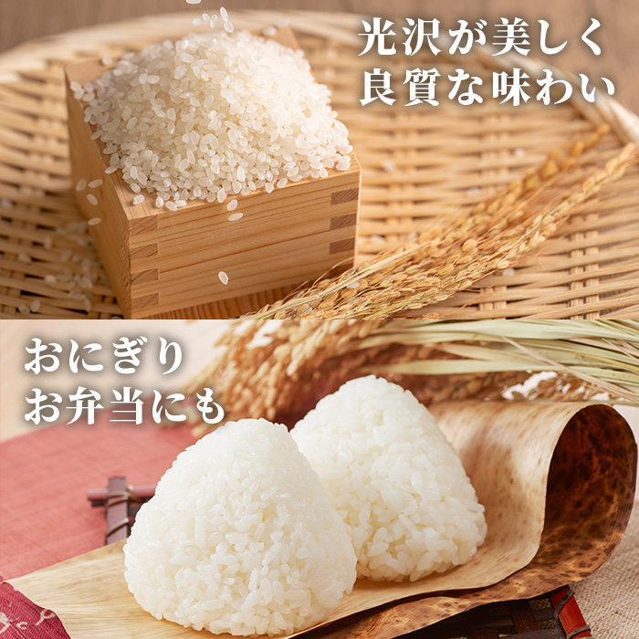 ≪令和7年産≫【白米】【食味鑑定士厳選】福岡県産 夢つくし(計5kg) 白米 米 お米 おこめ ごはん ゆめつくし ご飯 常温 福岡県産 ブランド米 常温 常温保存 【ファインリョーコク】as34-006