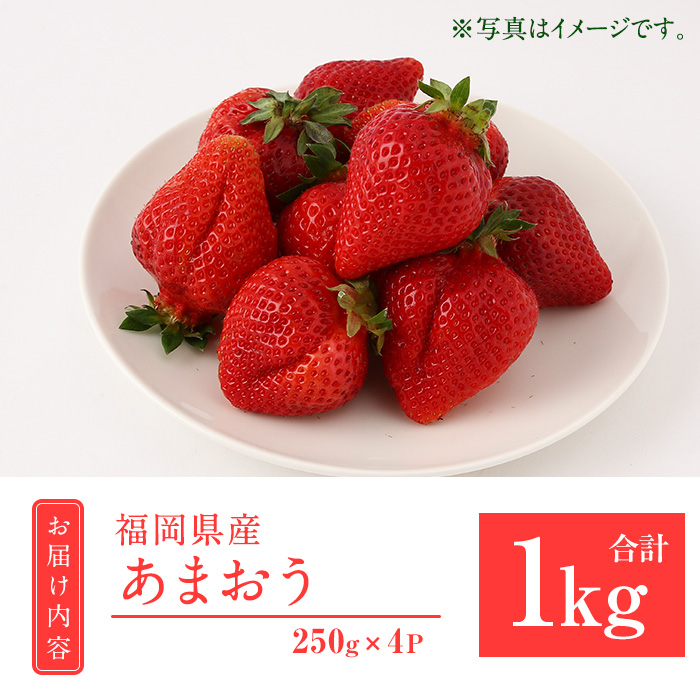 ＜先行予約受付中！2026年2月上旬より順次発送予定＞福岡県産 あまおう (計1kg・250g×4P) いちご イチゴ 苺 ストロベリー 果物 フルーツ おやつ デザート 1000g 4パック 冷蔵【錦屋商事】as48-001