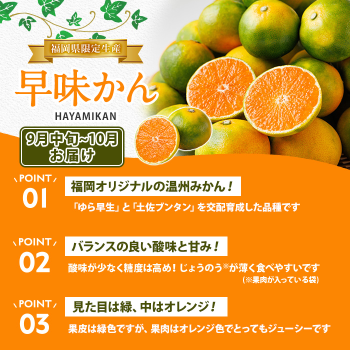 ＜定期便・年4回＞旬の福岡 フルーツ定期便(あまおう1kg/とよみつひめ1.2kg/早味かん3kg/甘うぃ3.6kg) いちご 苺 あまおう いちじく イチジク 無花果 みかん ミカン 蜜柑 キウイ あまうい 甘うい フルーツ 果物 定期便 頒布会 【農産物直売所ほたるの里】as52-033