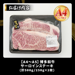 【A4～A5】博多和牛サーロインステーキセット(計500g・250g×2枚) 国産 九州産 福岡県産 牛肉 和牛 黒毛和牛 ステーキ お肉【MEAT PLUS】as08-003