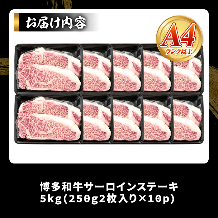 ＜訳アリ＞【A4～A5】博多和牛サーロインステーキ(計5kg・250g×20枚) 国産 九州産 福岡県産 牛肉 和牛 黒毛和牛 ステーキ お肉【MEAT PLUS】as08-020