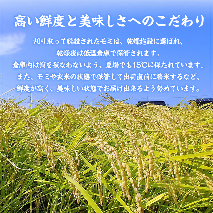福岡県ブランド米 元気つくし (10kg・5kg×2袋) お米 米 コメ おこめ こめ げんきつくし 白米 ごはん ご飯 福岡県産 ブランド米 常温 常温保存 おにぎり おむすび お弁当 【農産物直売所ほたるの里】as52-002