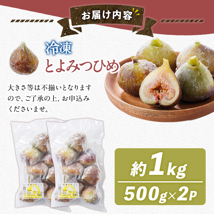 訳あり！冷凍 いちじく とよみつひめ (計1kg・500g×2袋) 冷凍 いちじく イチジク フルーツ 果物 くだもの 福岡限定 オリジナルブランド シャーベット コンポート パンケーキ 訳アリ 真空パック 小分け 【農産物直売所ほたるの里】as52-015