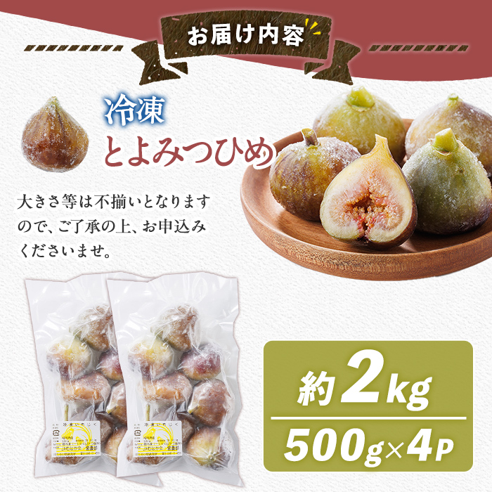 訳あり！冷凍 いちじく とよみつひめ (計2kg・500g×4袋) 冷凍 いちじく イチジク フルーツ 果物 くだもの 福岡限定 オリジナルブランド シャーベット コンポート パンケーキ 訳アリ 真空パック 小分け 【農産物直売所ほたるの里】as52-016