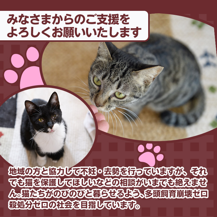 ≪お礼品なし≫保護猫 活動支援(1口：5,000円) 猫 ねこ ネコ 地域猫 野良猫 のらねこ さくら猫 保護 支援 保護猫活動 里親 動物保護 保護活動支援 ペット保護 支援活動 返礼品なし ボランティア活動 医療費 エサ代 TNR活動 去勢 【じゃむ屋】assn15-009