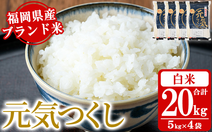 《白米》福岡県産ブランド米「元気つくし」(計20kg・5kg×4袋) 白米 米 お米 おこめ ごはん げんきつくし ご飯 常温 福岡県産 ブランド米 常温 常温保存 おにぎり おむすび お弁当 ライス【朝ごはん本舗】as05-056