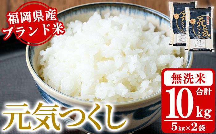 《無洗米》福岡県産ブランド米「元気つくし」(計10kg・5kg×2袋) 無洗米 米 お米 おこめ ごはん げんきつくし ご飯 常温 福岡県産 ブランド米 常温 常温保存 おにぎり おむすび お弁当 ライス【朝ごはん本舗】as05-058