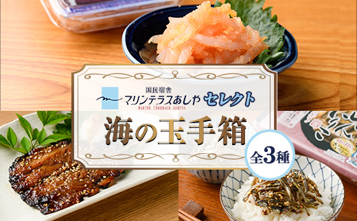 筑前芦屋 海の玉手箱セット(全3種) 明太 明太子 めんたい めんたいこ 海鮮 魚介 魚卵 いか イカ いかめんたい いか明太 いわし イワシ 鰯 いわしみりん あしやみりん みりんぼし いりこ セット 名物 おかず おつまみ 晩酌 冷凍【マリンテラスあしや】as13-009