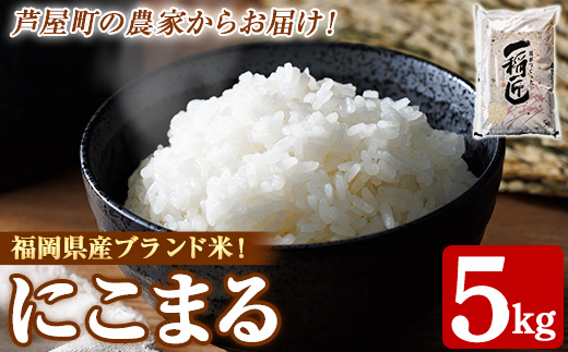 ≪令和7年産≫福岡県産 にこまる 白米(計5kg) 白米 米 お米 おこめ ごはん にこまる ご飯 常温 福岡県産 ブランド米 常温 常温保存 as32-002