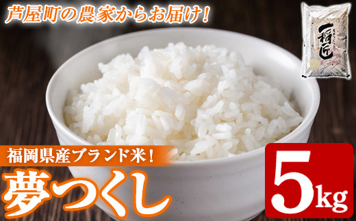 ≪令和7年産≫≪2025年12月上旬以降順次発送≫福岡県産 夢つくし 白米(計5kg) 白米 米 お米 おこめ ごはん ゆめつくし 夢つくし ご飯 常温 福岡県産 ブランド米 常温 常温保存 as32-004