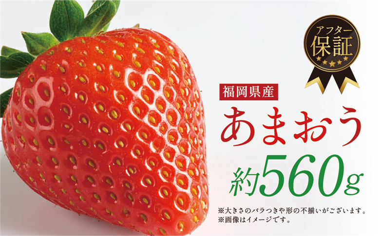 ＜数量限定！先行予約受付中！2026年1月上旬より順次発送予定＞福岡県産 あまおう (計約560g・約280g×2P) いちご イチゴ 苺 ストロベリー 果物 フルーツ おやつ デザート 福岡県 エコファーマー 冷蔵【ONE GO】as45-001