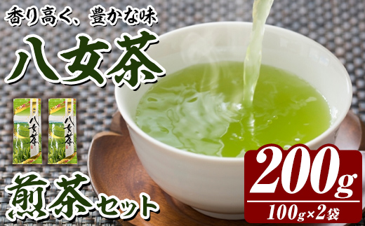 八女茶 煎茶 セット (100g×2袋) 茶 お茶 八女茶 煎茶 パック 福岡県産 【木村食品】as46-017