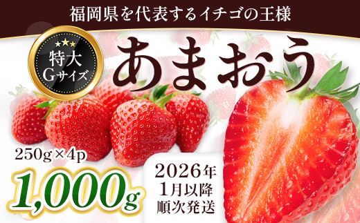 ＜先行予約受付中！2026年1月上旬以降順次発送予定＞ 福岡県産 あまおう (計1kg・250g×4パック) いちご イチゴ 苺 ストロベリー 果物 フルーツ おやつ デザート スイーツ 福岡県 小分け アマオウ 1月発送 期間限定 数量限定 冷蔵 【エフビーネット】as47-004