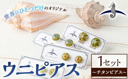 海アクセサリー ウニチタンピアス (1セット) アクセサリー ピアス チタンピアス ハンドメイド 手作り 耳飾り ギフト プレゼント 贈り物 雲丹 うに ウニ殻 1点もの オリジナル 数量限定 【タツノオトシゴ】as50-002