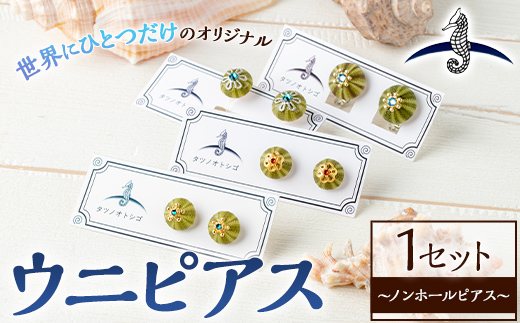 海アクセサリー ウニノンホールピアス (1セット) アクセサリー ピアス ノンホールピアス ハンドメイド 手作り 耳飾り ギフト プレゼント 贈り物 雲丹 うに ウニ殻 1点もの オリジナル 数量限定 【タツノオトシゴ】as50-004