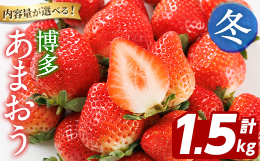 博多 あまおう《冬》 (計1.5kg・250g～270g×6パック) いちご イチゴ 苺 ストロベリー 果物 フルーツ おやつ デザート 冷蔵 アマオウ 旬 小分け 【農産物直売所ほたるの里】as52-007