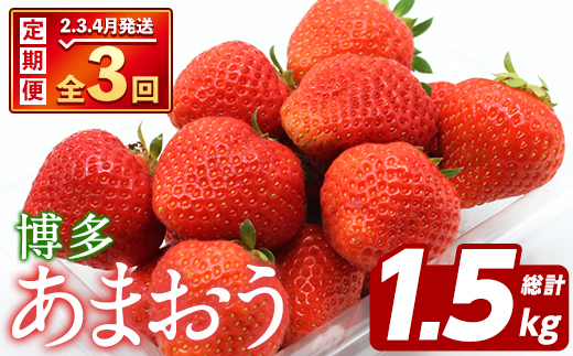＜先行予約受付中！2026年2月上旬以降順次発送予定＞＜定期便・全3回(2月・3月・4月)＞博多 あまおう (総計1.5kg) いちご イチゴ 苺 ストロベリー 果物 フルーツ おやつ デザート 冷蔵 旬 小分け 定期便 【農産物直売所ほたるの里】as52-011