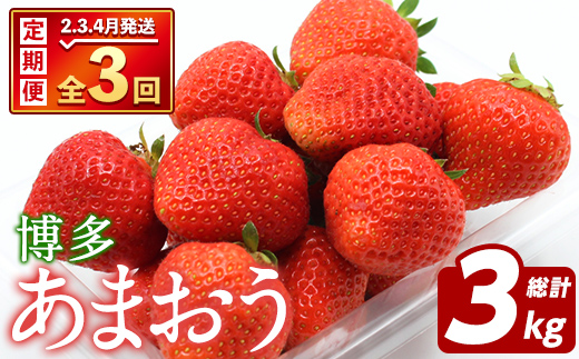 ＜先行予約受付中！2026年2月上旬以降順次発送予定＞＜定期便・全3回(2月・3月・4月)＞博多 あまおう (総計3kg) いちご イチゴ 苺 ストロベリー 果物 フルーツ おやつ デザート 冷蔵 旬 小分け 定期便 【農産物直売所ほたるの里】as52-012