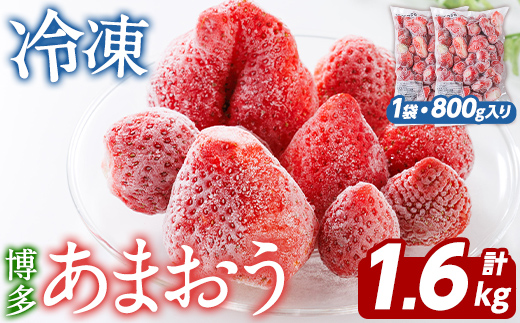 冷凍 あまおう (計1.6kg・800g×2袋) いちご イチゴ 苺 ストロベリー 果物 フルーツ おやつ デザート 冷凍 アマオウ 旬 小分け アイス シャーベット ジャム スムージー 冷凍フルーツ 真空パック 小分け 【農産物直売所ほたるの里】as52-013