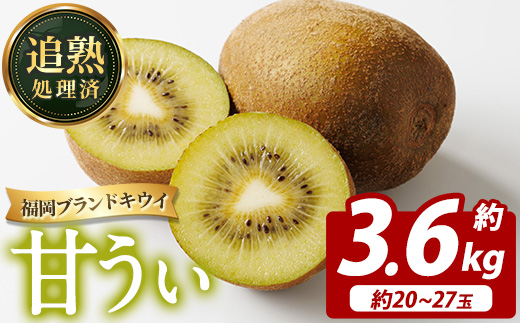 ＜先行予約受付中！2026年11月上旬～11月下旬に順次発送予定＞福岡県ブランドキウイ 甘うぃ (約計3.6kg・20～27玉) キウイ キウイフルーツ キュウイ あまうぃ フルーツ 生 国産 果物 くだもの 【農産物直売所ほたるの里】as52-032