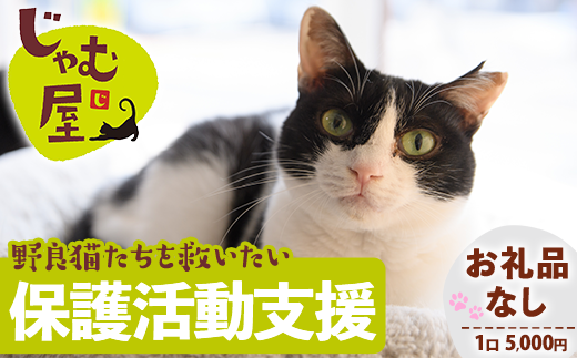≪お礼品なし≫保護猫 活動支援(1口：5,000円) 猫 ねこ ネコ 地域猫 野良猫 のらねこ さくら猫 保護 支援 保護猫活動 里親 動物保護 保護活動支援 ペット保護 支援活動 返礼品なし ボランティア活動 医療費 エサ代 TNR活動 去勢 【じゃむ屋】assn15-009