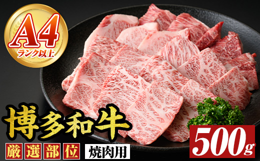 【A4～A5】博多和牛焼肉用(500g) 国産 九州産 福岡県産 牛肉 和牛 黒毛和牛 やきにく お肉【MEAT PLUS】as08-001