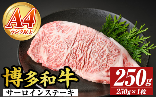 【A4～A5】博多和牛サーロインステーキセット(250g×1枚) 国産 九州産 福岡県産 牛肉 和牛 黒毛和牛 ステーキ お肉【MEAT PLUS】as08-004