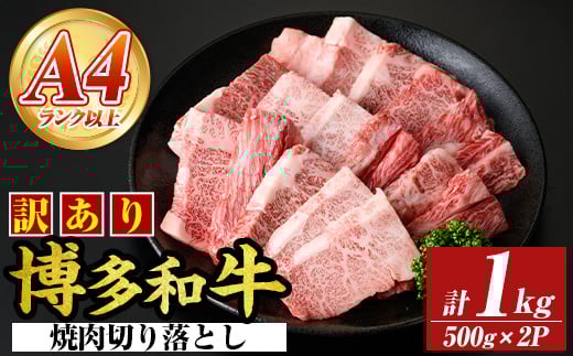 ＜訳あり＞【A4～A5】博多和牛焼肉切り落とし(肩ロース・バラ) (合計1kg・500g×2P) 国産 九州産 福岡県産 牛肉 和牛 黒毛和牛 ヤキニク やきにく 焼き肉 お肉【MEAT PLUS】as08-043