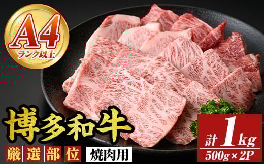 【A4～A5】博多和牛焼肉用(計1kg・500g×2P) 国産 九州産 福岡県産 牛肉 和牛 黒毛和牛 やきにく お肉【MEAT PLUS】as08-057