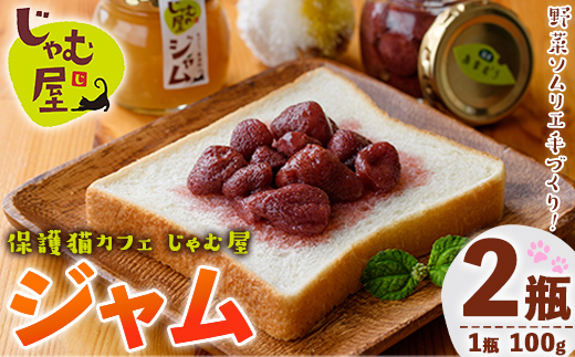 じゃむ屋のジャム詰め合わせギフトセット (2瓶) ジャム じゃむ 加工品 フルーツ 果物 果実 詰め合わせ 野菜 セット ギフト 贈答用 プレゼント 贈り物 食べ比べ お楽しみ 手づくり 手作り 朝食 常温 常温保存【じゃむ屋】as15-001