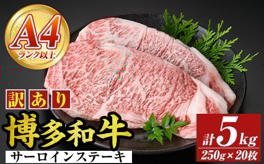 ＜訳アリ＞【A4～A5】博多和牛サーロインステーキ(計5kg・250g×20枚) 国産 九州産 福岡県産 牛肉 和牛 黒毛和牛 ステーキ お肉【MEAT PLUS】as08-020