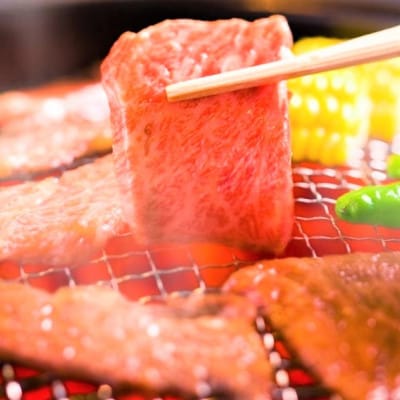 【A4～A5】博多和牛焼肉用 500g(水巻町)【配送不可地域：離島】