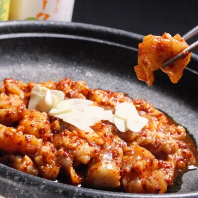 ヤンコプチャン 500g×8パック　1パック4～5人前【配送不可地域：離島】