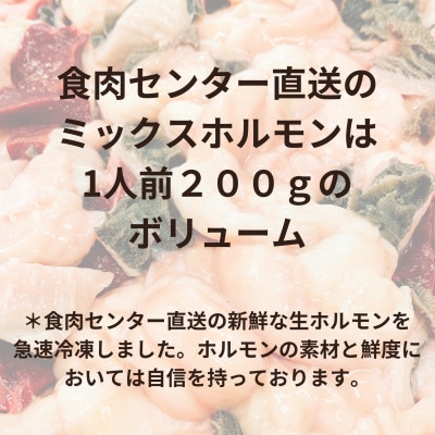 【簡易版】ぷりぷり黒毛和牛ホルモン使用!田川ホルモン鍋セット(ミックスホルモン+タレ2種)×3食分【配送不可地域：離島】