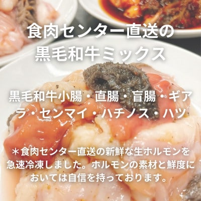 【簡易版】黒毛和牛ミックス 博多もつ鍋(ミックスホルモン+濃縮スープ付)×3セット【配送不可地域：離島】