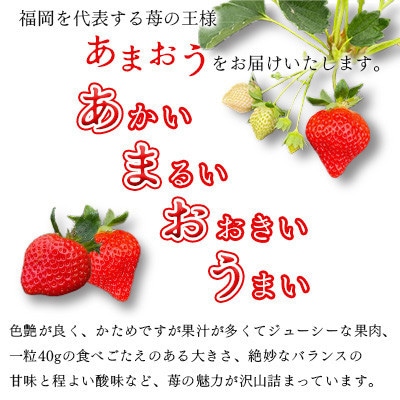 【2026年1月下旬～順次発送予定】福岡県産あまおう合計約1,080g 約270g×4パック(水巻町【配送不可地域：離島】