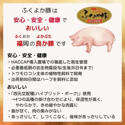 工場直送・鮮度抜群・ダイナミック　【ふくよか豚】豚ヒレブロック　約1.5kg【配送不可地域：離島】