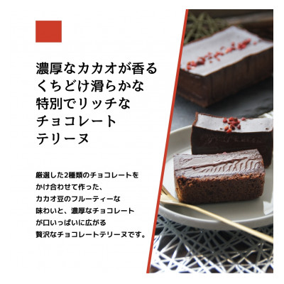 とろける生チョコテリーヌ　380g/1本(福岡県水巻町)【配送不可地域：離島】