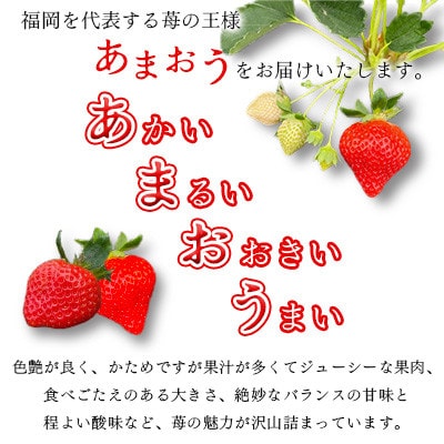 【2026年1月下旬～順次発送予定】福岡県産あまおう合計約1,080g 約270g×4パック(水巻町【配送不可地域：離島】