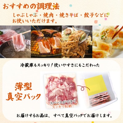 福岡県産ふくよか豚詰合せセットA【配送不可地域：離島】