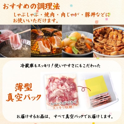 福岡県産ふくよか豚詰合せセットB【配送不可地域：離島】