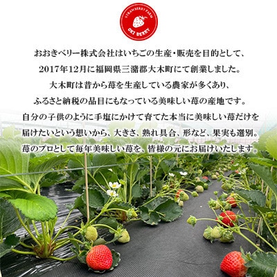 【2026年1月下旬～順次発送予定】福岡県産あまおう合計約1,080g 約270g×4パック(水巻町【配送不可地域：離島】