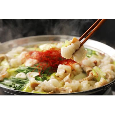 訳あり!博多醤油もつ鍋　10人前(2人前×5セット)(水巻町)【配送不可地域：離島】